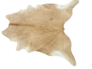 Gomez South African Cowhide Rug In Beige/White With Spots