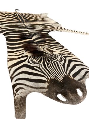 Gomez Raw Zebra Hide