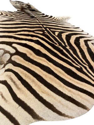 Gomez Raw Zebra Hide