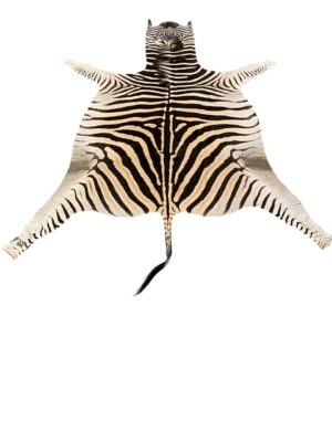 Gomez Raw Zebra Hide