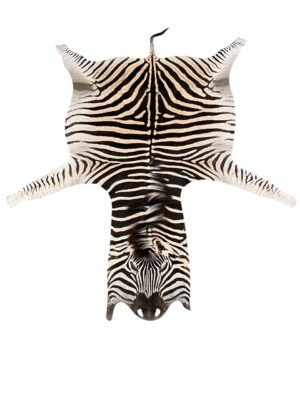 Gomez Raw Zebra Hide