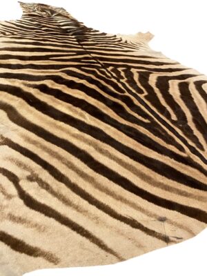 Gomez Raw Zebra Hide