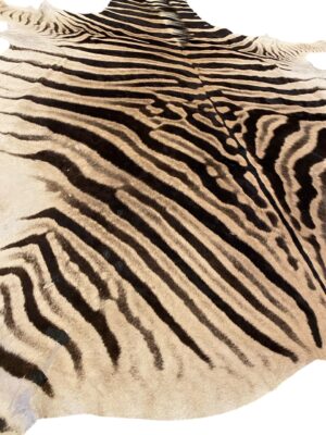 Gomez Raw Zebra Hide