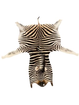 Gomez Raw Zebra Hide