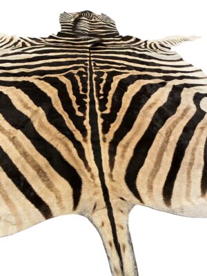 Gomez Raw Zebra Hide